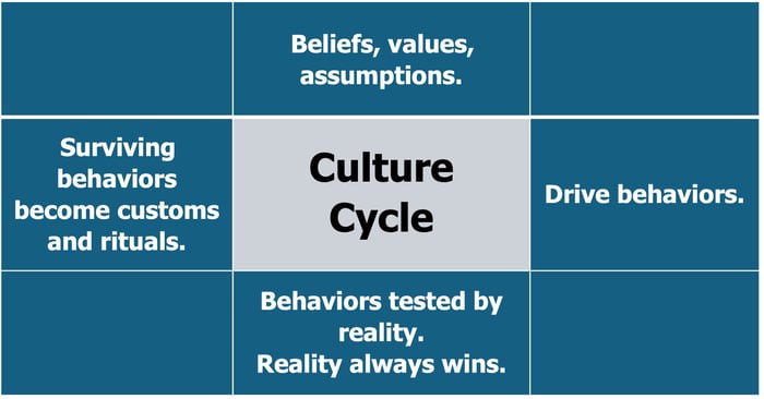 Culture Cycle by Tom Foster