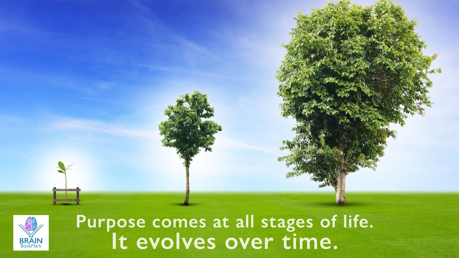Purpose comes at all stages of life. It evolves over time.