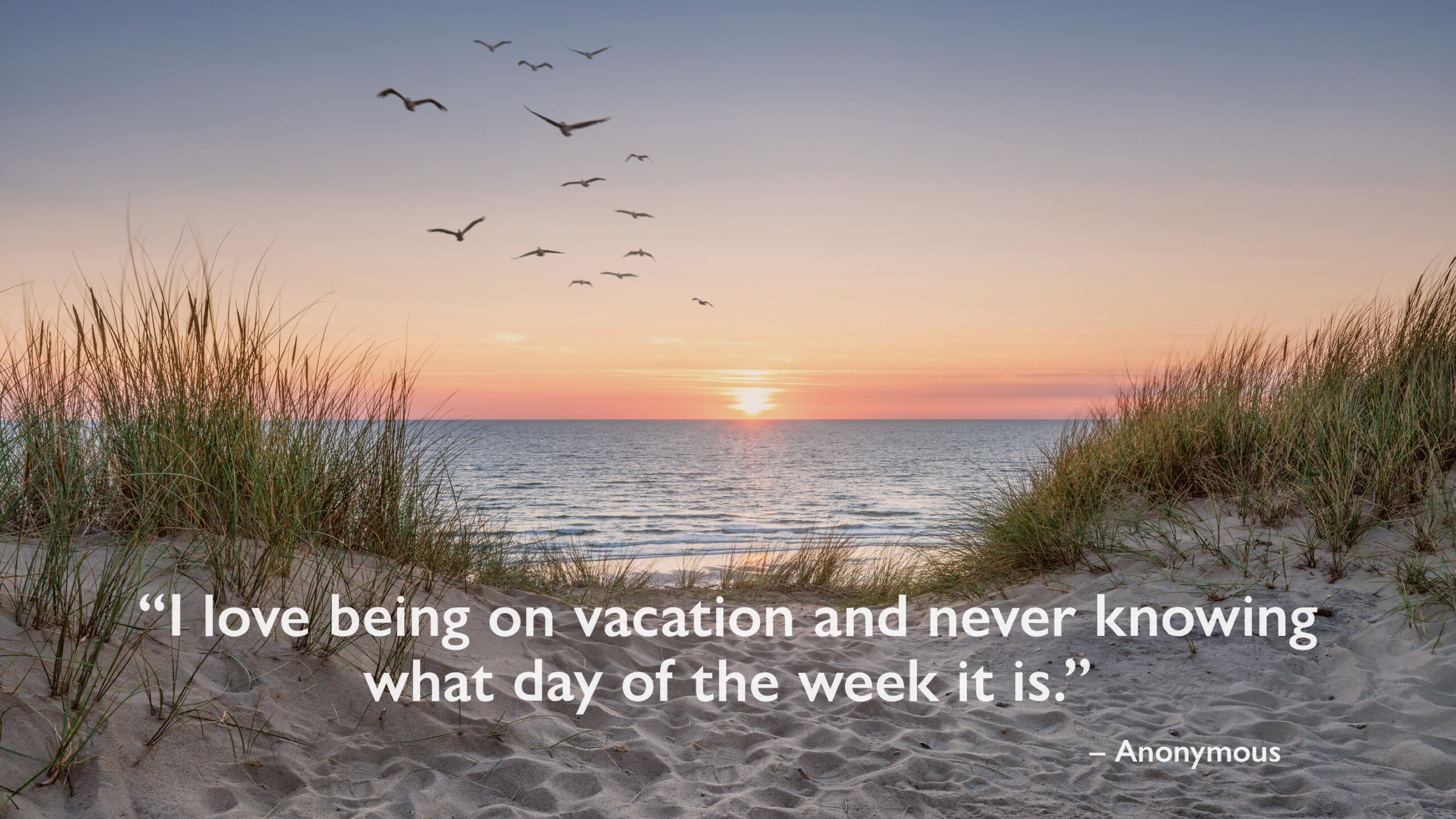 "I love being on vacation and never knowing what day of the week it is"
