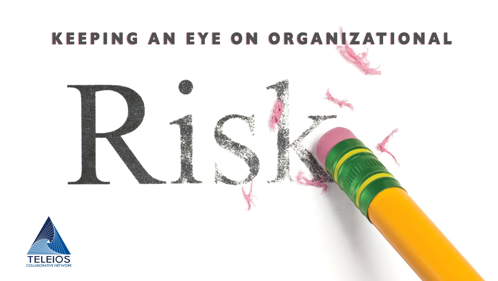 Keeping an Eye on Organizational Risks